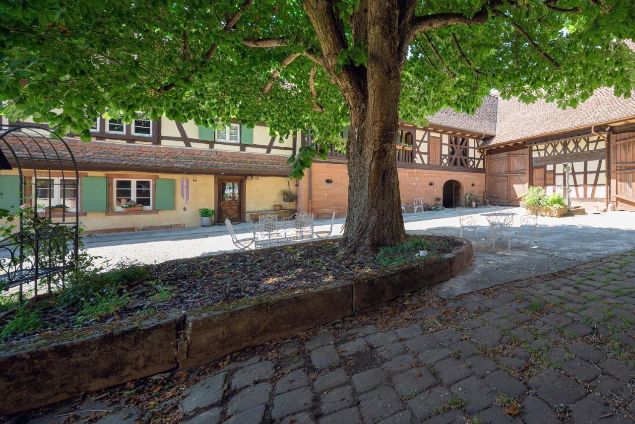 Bed and Breakfast Au Fil Du Temps Imbsheim Exterior foto